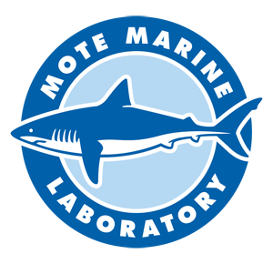 The collection's logo