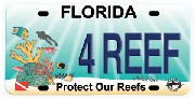 The collection's logo
