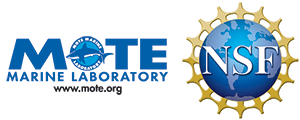The collection's logo